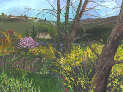 painted yard